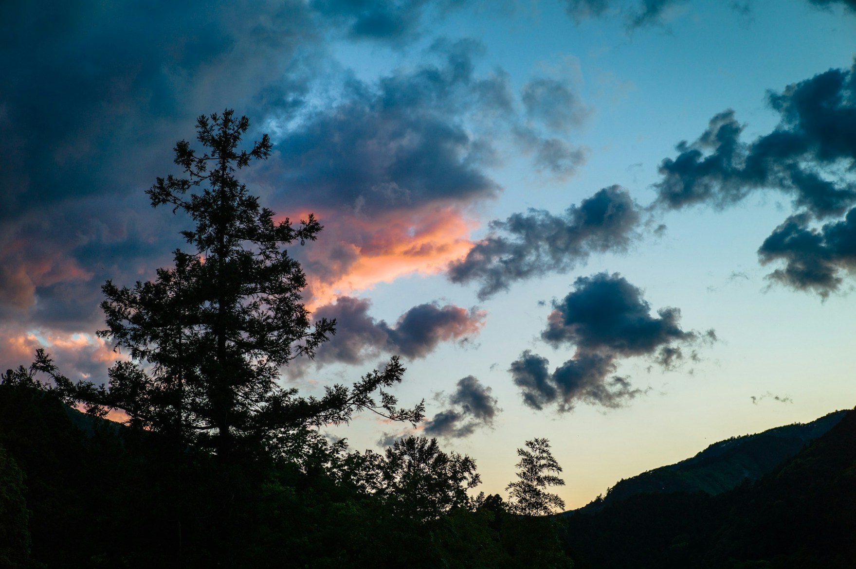 Leica M9-PのJPGをLightroomで再現する